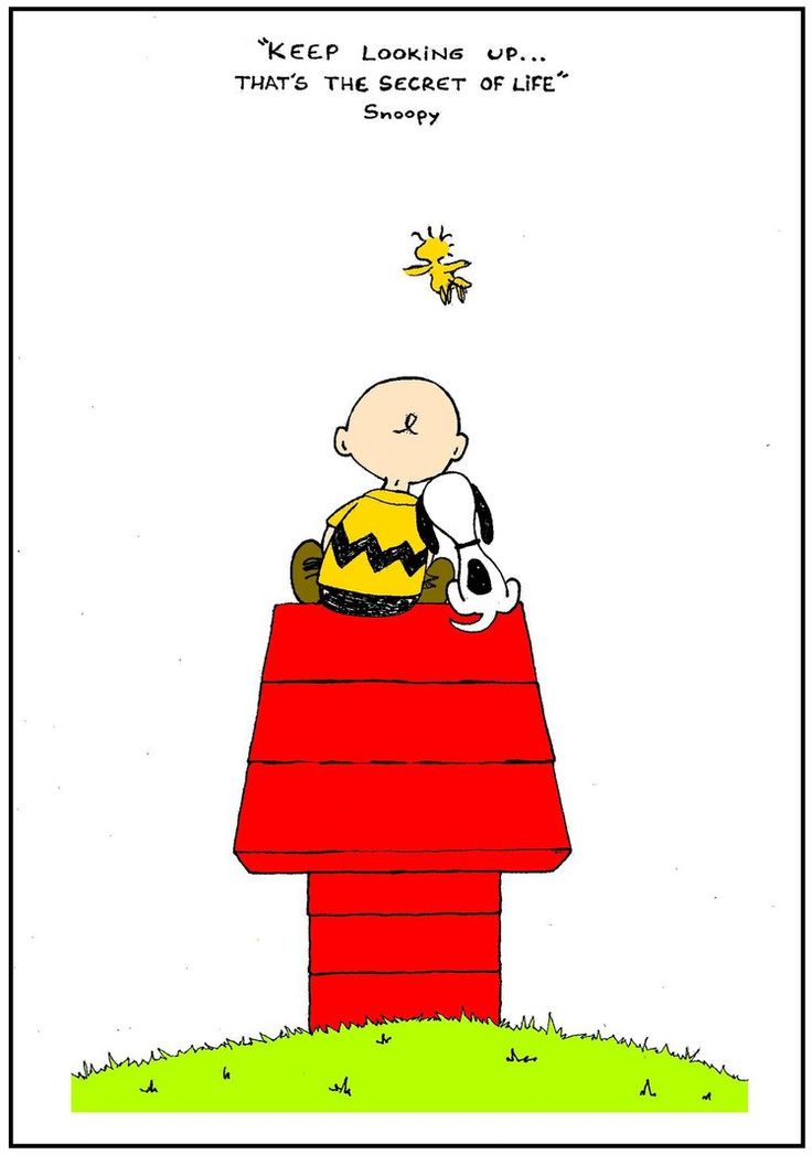 Keep looking up Thats the secret of life -Snoopy  Keep looking up Snoopy  Snoopy tattoo