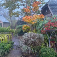 the enduring gardener