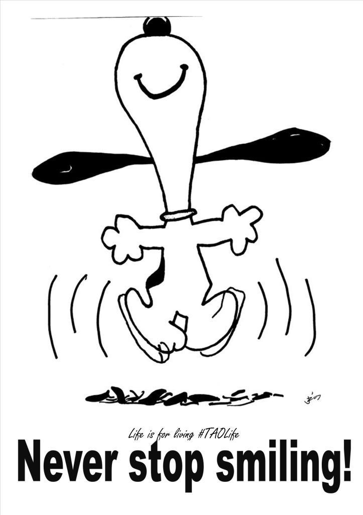 Poster Never stop smiling Snoopy quote taolife inspiration  motivation  Snoopy quotes Snoopy dance Snoopy happy dance