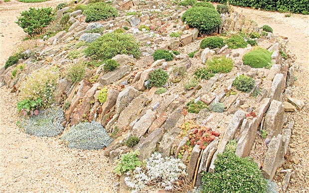 Image result for wisley alpine garden