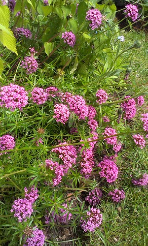http://farm4.staticflickr.com/3822/9040457657_63940ecf17.jpg