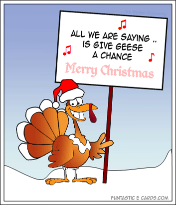 http://i1143.photobucket.com/albums/n627/thedogcody/xmas-card-funny-turkey-protest.gif