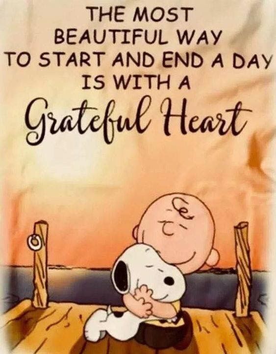 20181203144620  Charlie brown quotes Snoopy quotes Snoopy funny