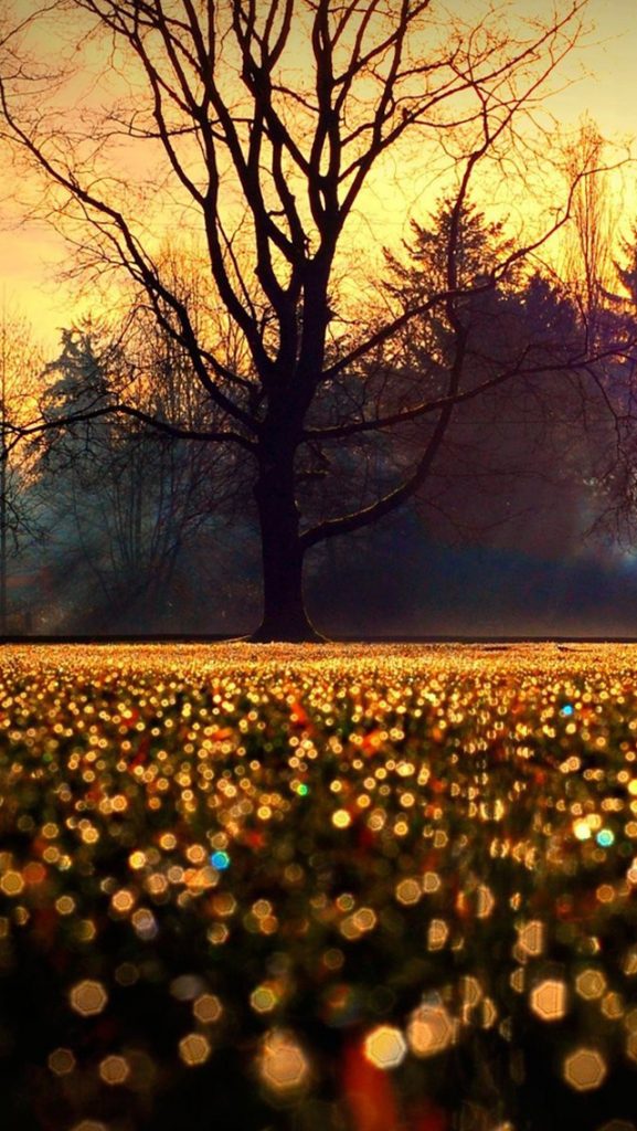 Image result for Beautiful Autumn evenings