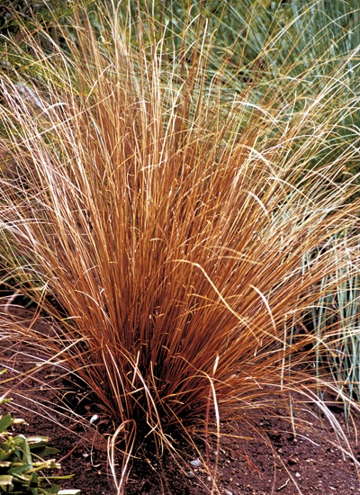 See the source image