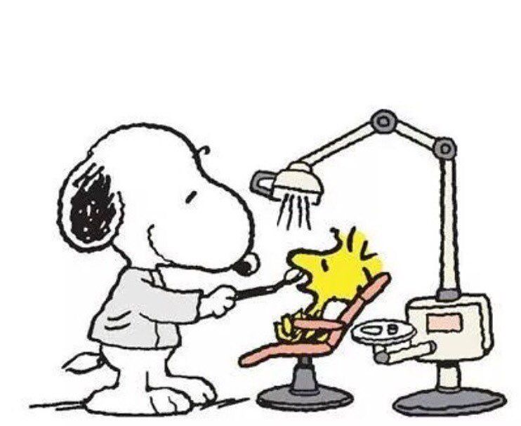Bianca Pulino on Instagram Amei Snoopy dentista snoopy dentista   Snoopy Snoopy funny Snoopy pictures