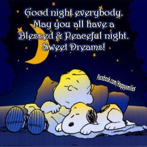 Snoopy Good Night  Good night everybody Good night quotes Snoopy