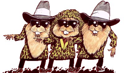 Hamsterhead