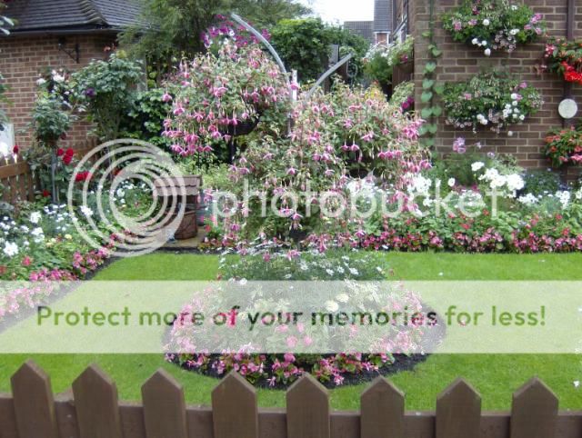 http://i1131.photobucket.com/albums/m551/lilylouise1/frontgarden008-2.jpg