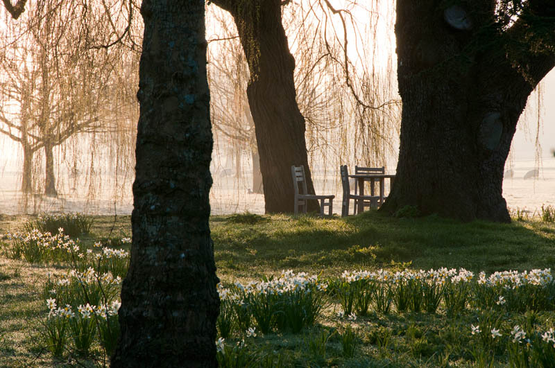 Image result for Frosty spring morning