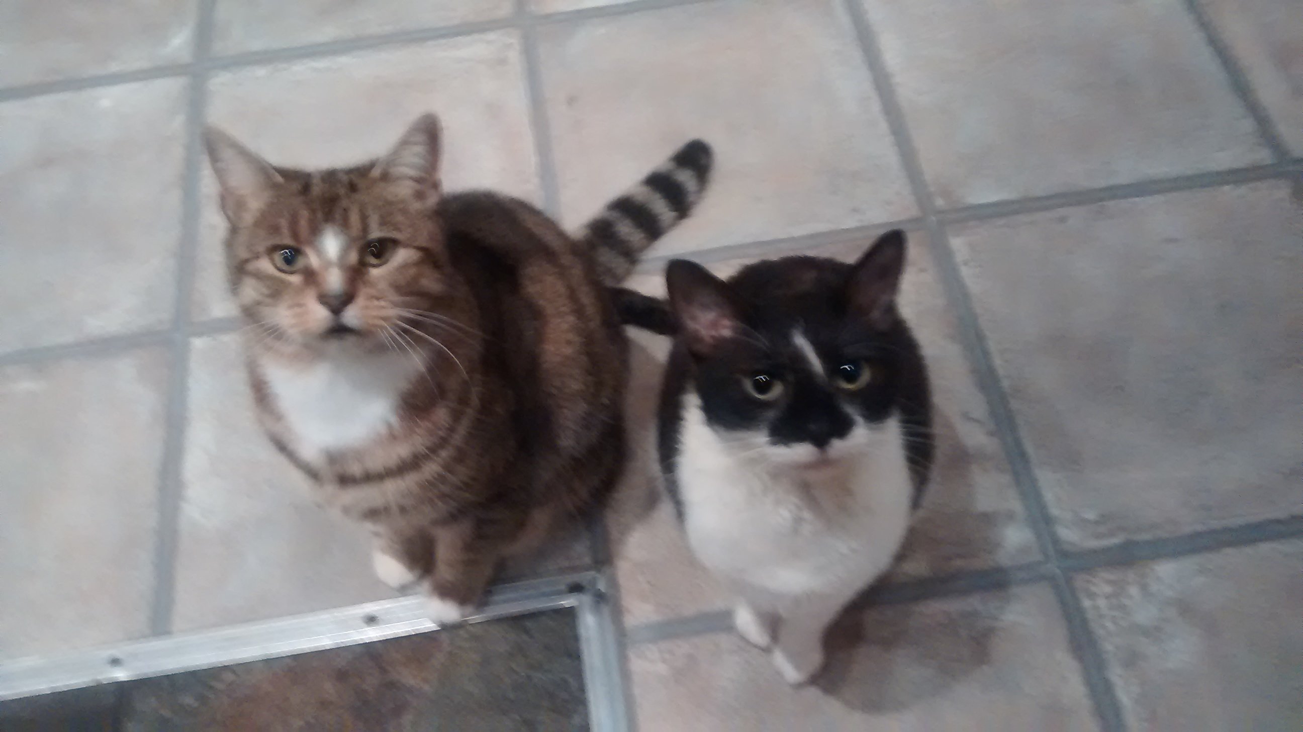 Jem and Lizzy