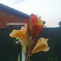 nigel_fleming_