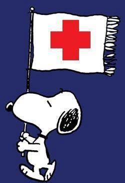 Pin by Laura Patrick on Office ideas  Red cross nurse Snoopy images Red  cross volunteer