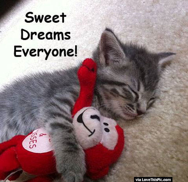 Image result for sweet dreams everyone images