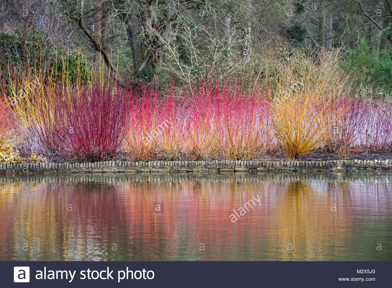 See the source image