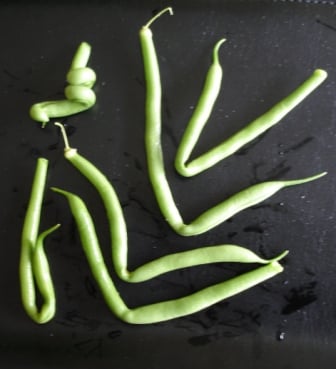 Beanli