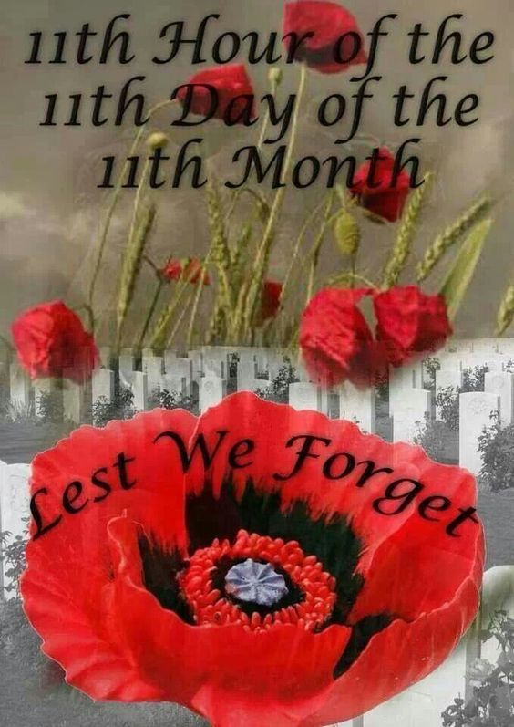 Remembrance Day USA Colorful Poster  Remembrance day usa Remembrance day  art Remembrance day quotes