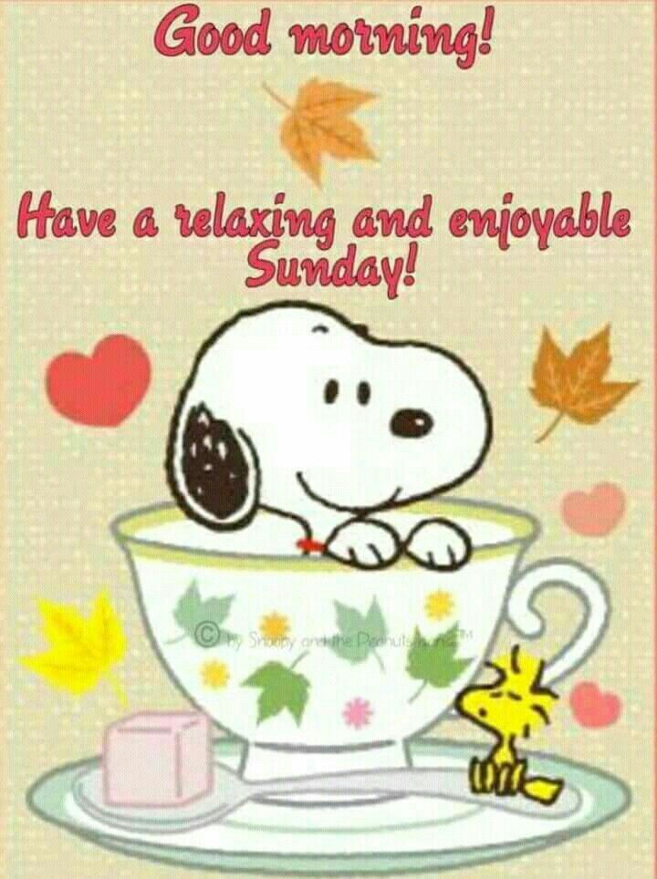 Pin by Vickie Erickson on Good morning Good night  Good morning snoopy  Happy sunday images Snoopy