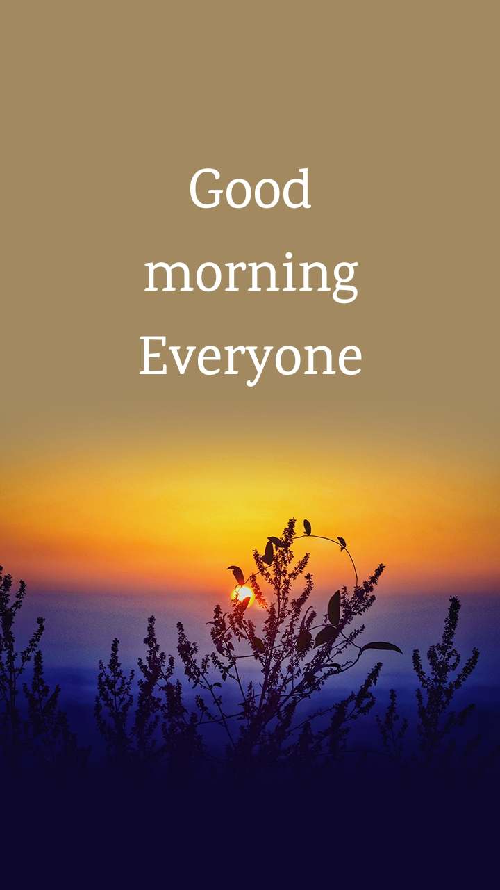 Good morning Everyone  Nojoto
