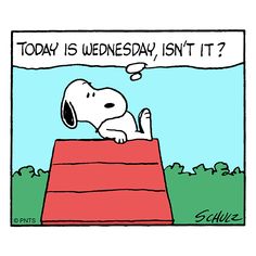 97 Snoopy Wednesday ideas  snoopy snoopy quotes snoopy love