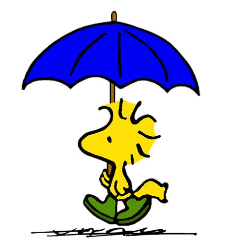 Woodstock Prepared for Heavy Rainfall  Snoopy pictures Snoopy images  Snoopy love