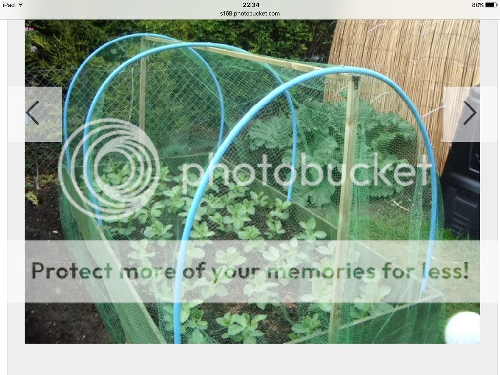 http://i1377.photobucket.com/albums/ah80/sophie1706/IMG_3264_zpskkfkhdyf.jpg
