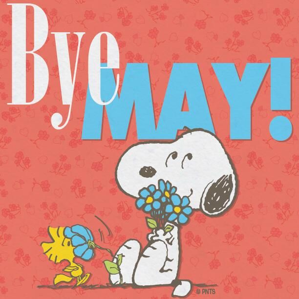 PEANUTS on Twitter  Snoopy Snoopy pictures Snoopy love