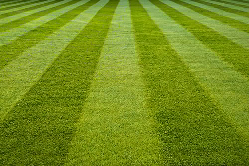 complete lawn service