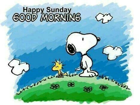 Happy Sunday Good Morning sunday sunday quotes happy sunday