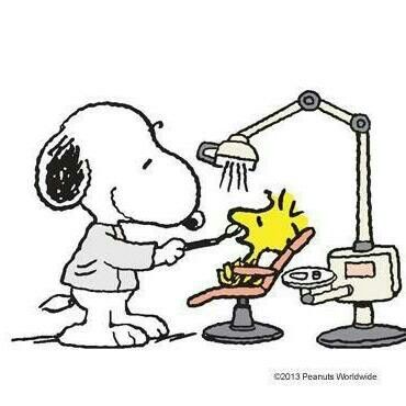Snoopy dentista  Snoopy Snoopy funny Snoopy pictures