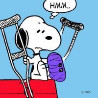 For Pammi - Speedy Recovery - in 2021  Snoopy cartoon Snoopy  pictures Snoopy