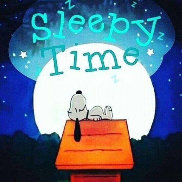 10 Precious Good Night Quotes Images And Sayings  Snoopy