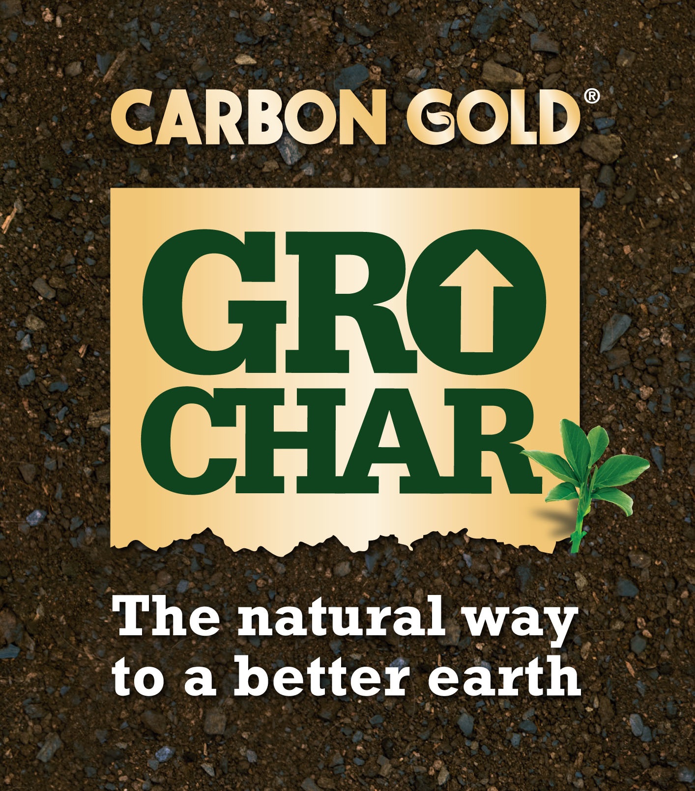 Carbon Gold