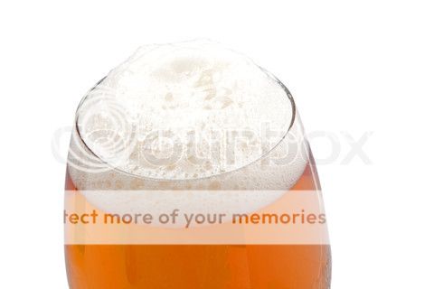 http://i1143.photobucket.com/albums/n627/thedogcody/4391121-150897-top-of-the-glass-wit.jpg
