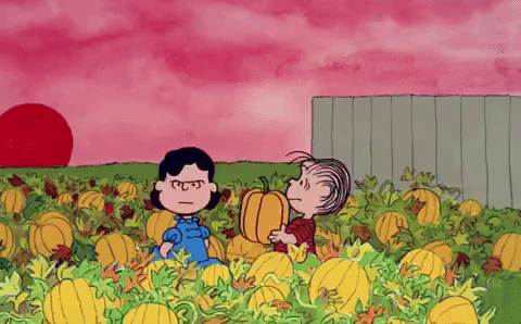The Great Pumpkin Charlie Brown GIFs - Get the best GIF on GIPHY