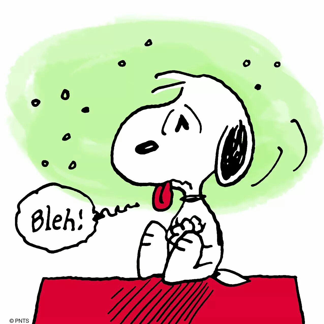 Pin by JJ on Snoopy  Snoopy Snoopy love Snoopy family