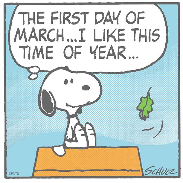 PEANUTS on Twitter  Snoopy Snoopy comics Happy day quotes