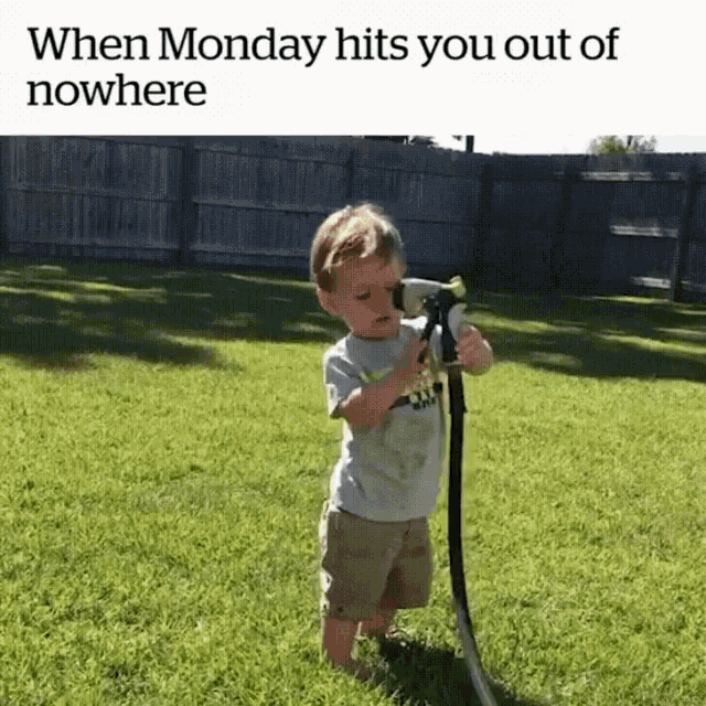 Kid Monday GIF - Kid Monday WhenMondayHits GIFs  Monday humor Happy  monday gif Struggle is real