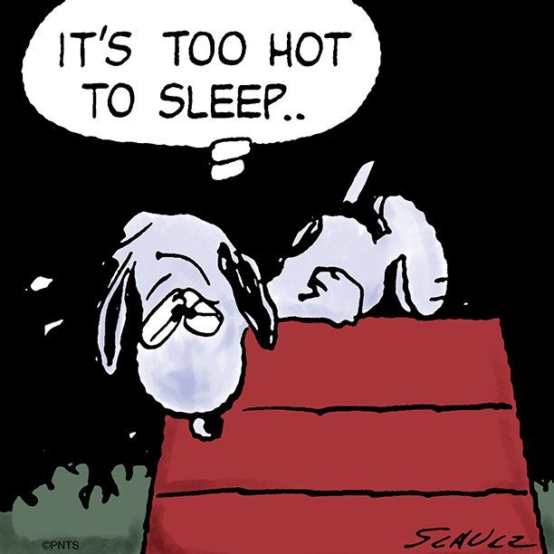 PEANUTS on Twitter Too hot to sleep httpstcoZntD7MUGJw  Snoopy  Snoopy love Snoopy pictures