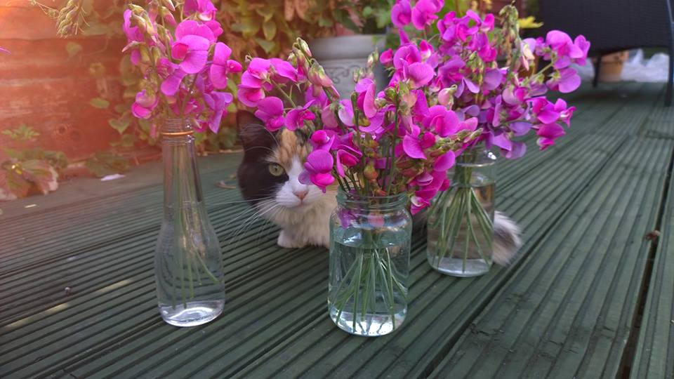 Claire Watphreys