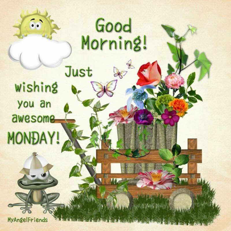 Good Morning Wishing You A Happy Monday  Good morning monday