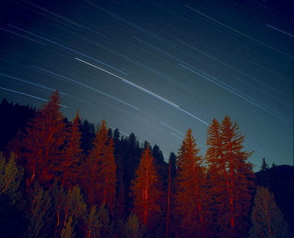 Autumn evening fall forest landscape light moon Free stock photos in jpg  format for free download 198MB