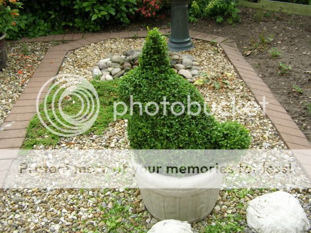 http://i27.photobucket.com/albums/c186/DavidKnapper/P6040004.jpg