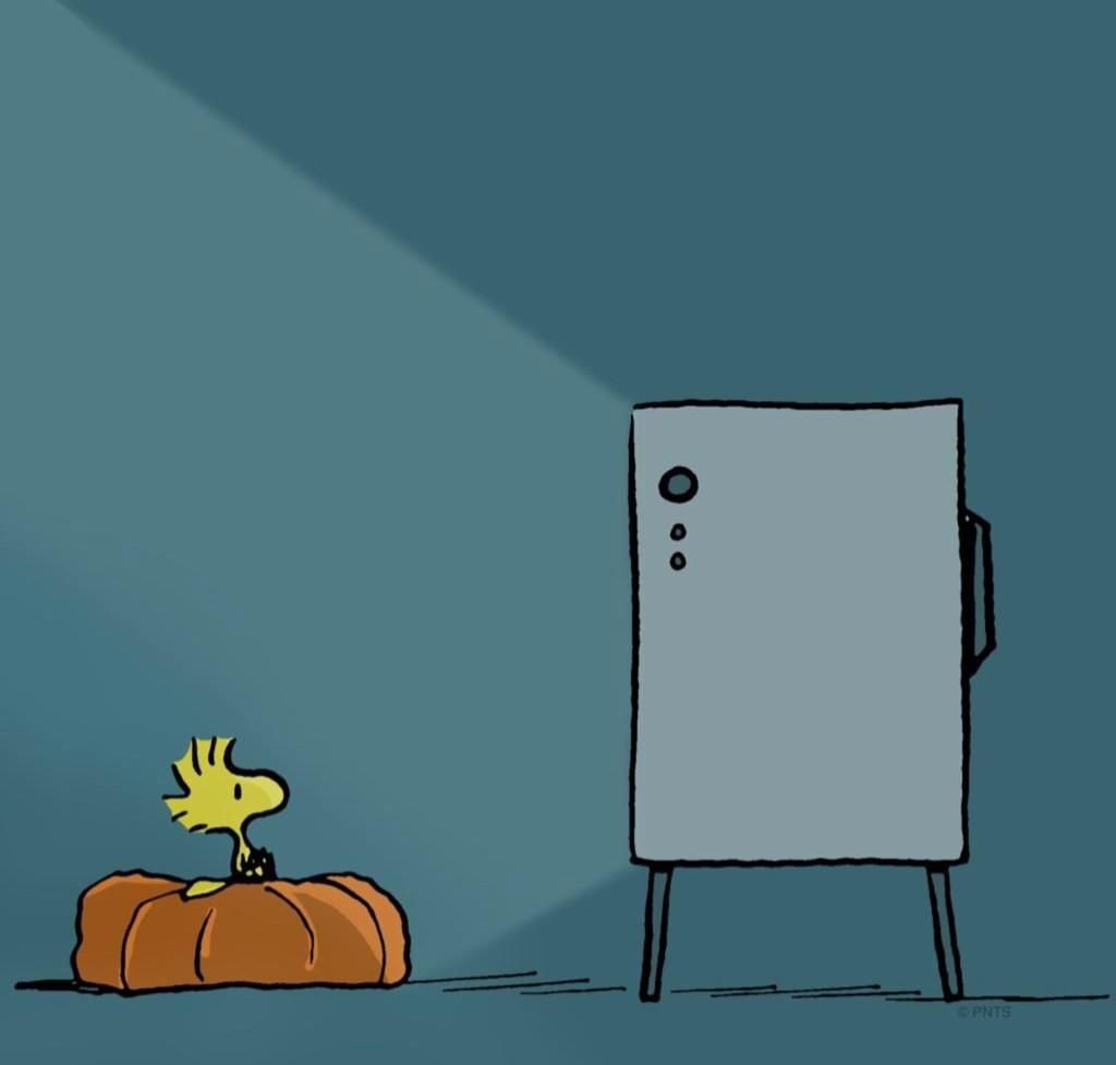 Woodstock on Twitter  Peanuts snoopy woodstock Snoopy and woodstock  Snoopy love