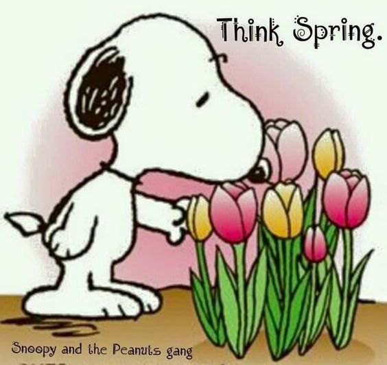 Think Spring  Snoopy Snoopy pictures Snoopy love