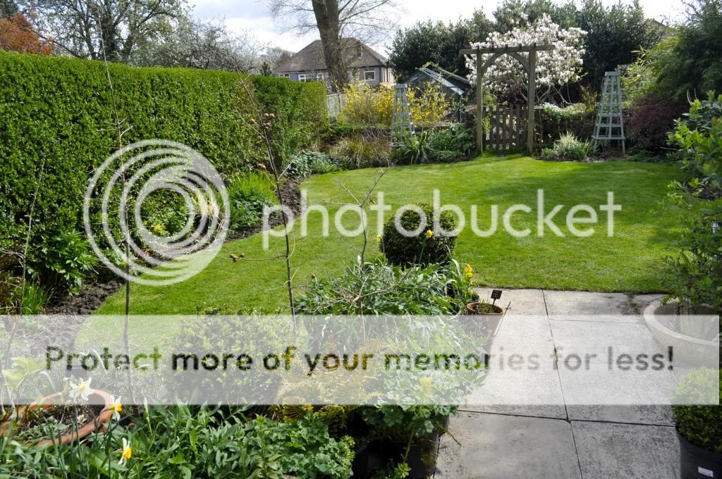 http://i232.photobucket.com/albums/ee192/thebear843/Garden/Lawn2_zps3bfc1a18.jpg