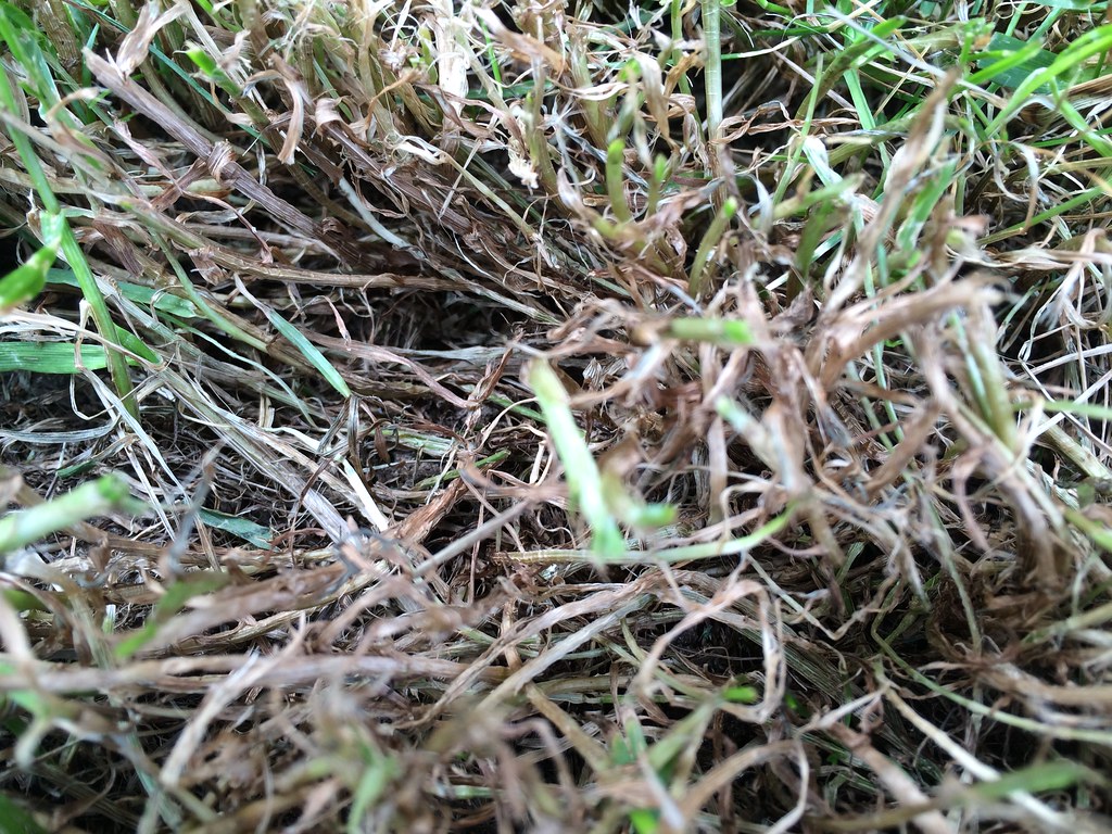 https://farm6.staticflickr.com/5537/14327167460_5a64649af0_b.jpg