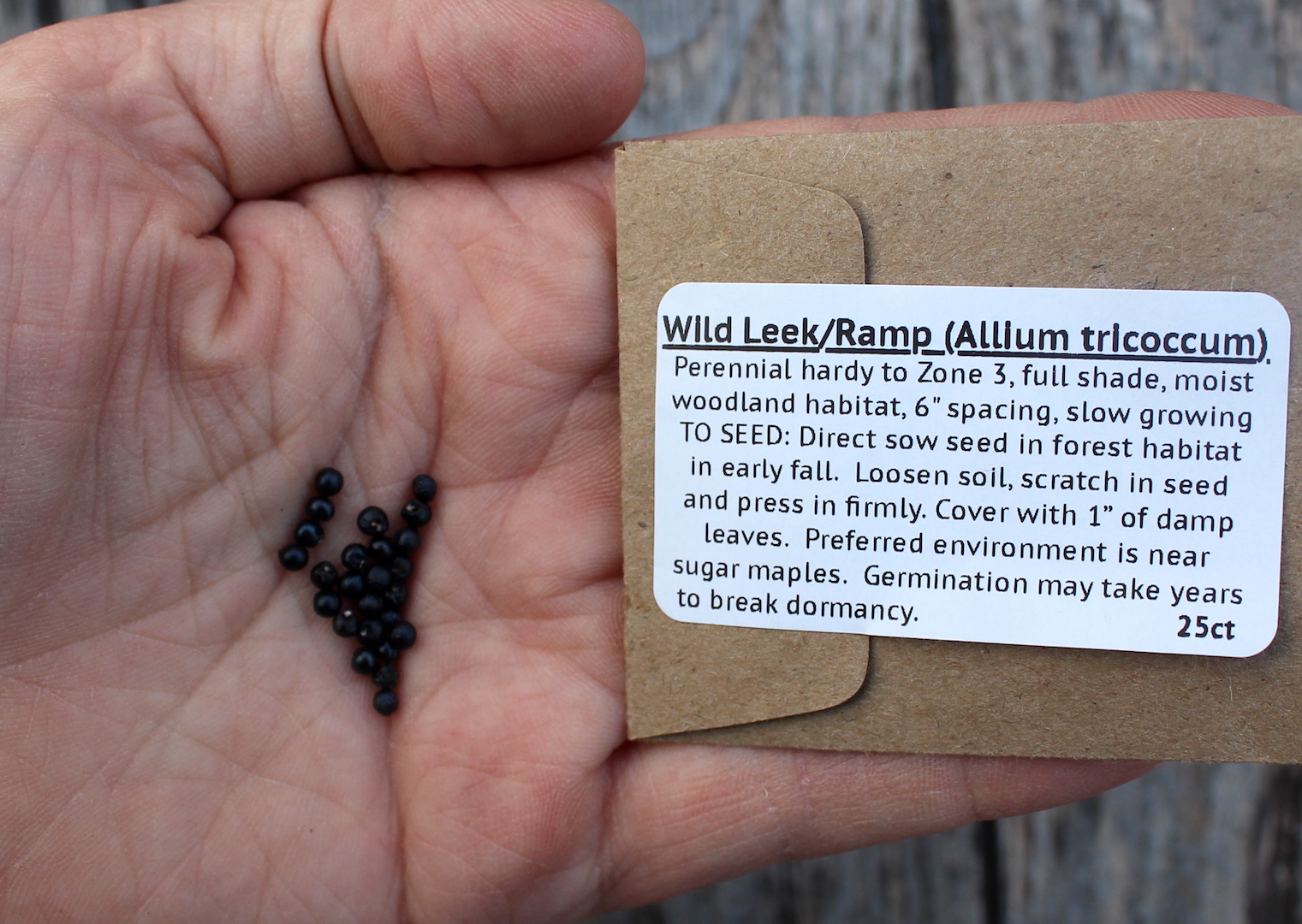 Image: https://practicalselfreliance.com/wp-content/uploads/2018/04/Wild-Leek-Seeds.jpg?is-pending-load=1 Growing Ramps in Your Backyard