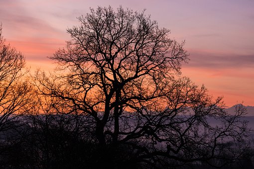 100 Free Daybreak  Sunrise Images - Pixabay