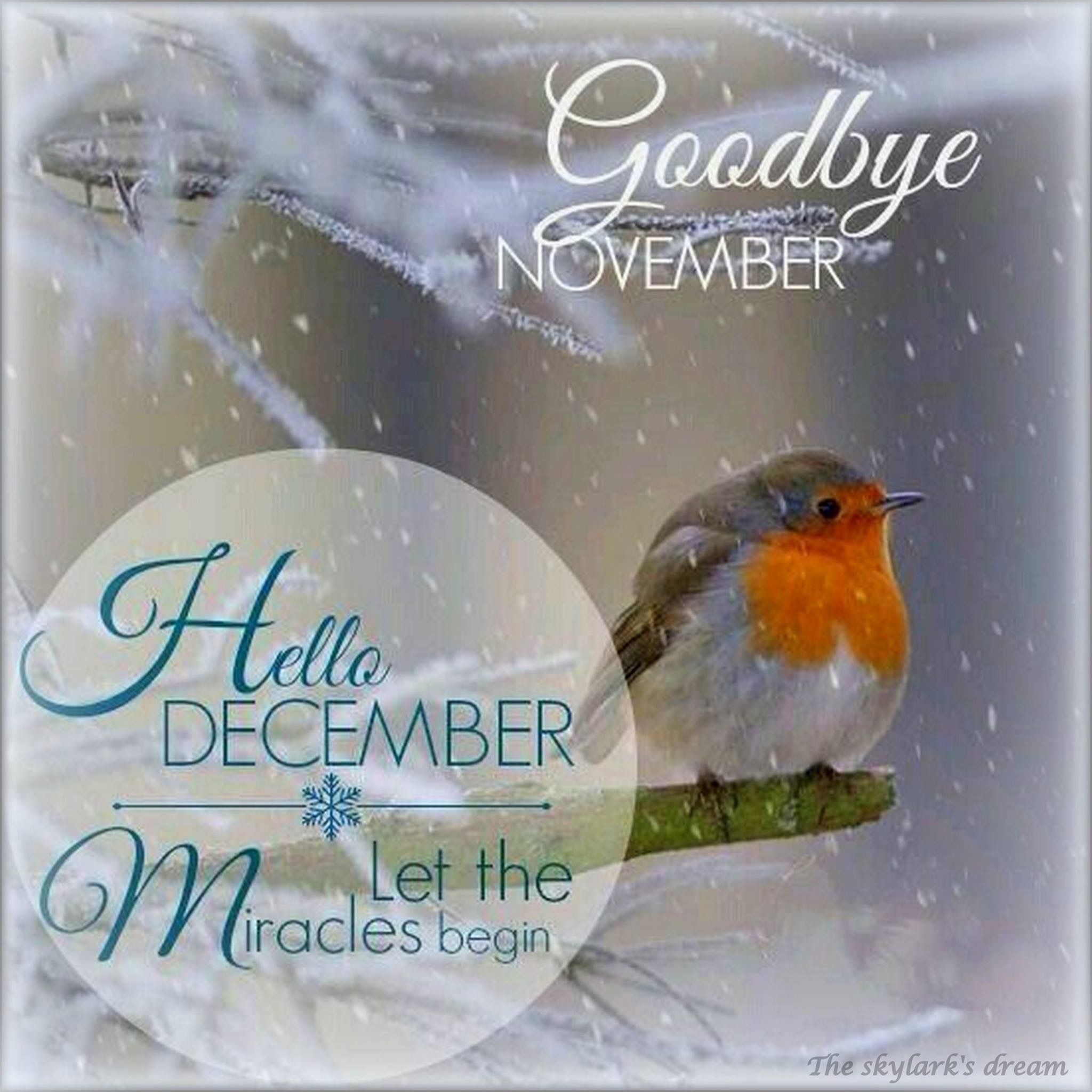 Goodbye NovemberHello December   Hello december Hello november  Welcome december